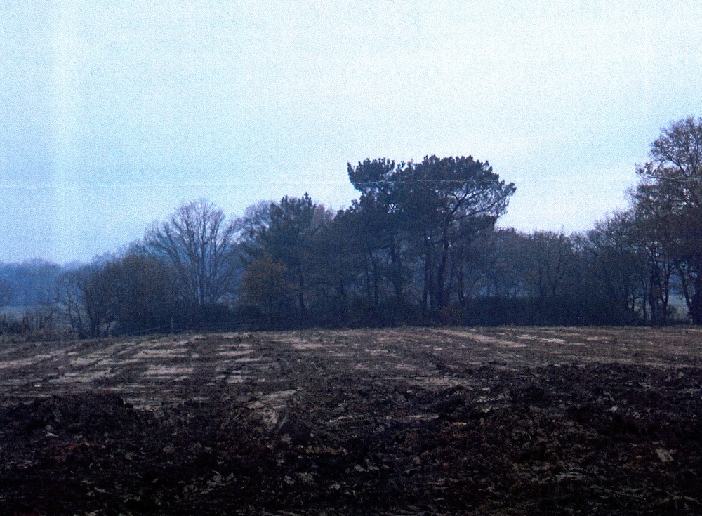 marsac-sur-don2-RobindesBois