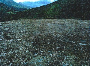 sari-dorcino-rehabilitee-photo1-RobindesBois