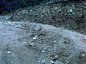 sari-dorcino-rehabilitee-photo2-RobindesBois